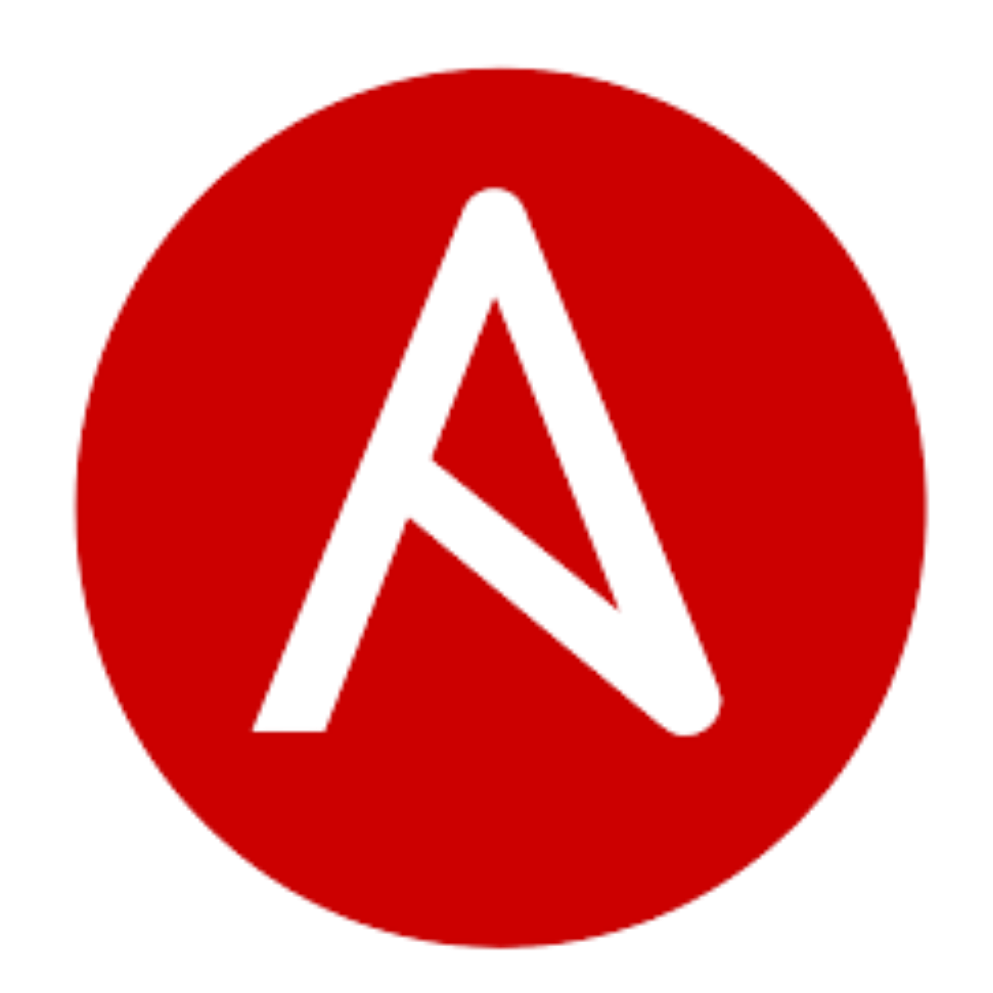 20 ansible