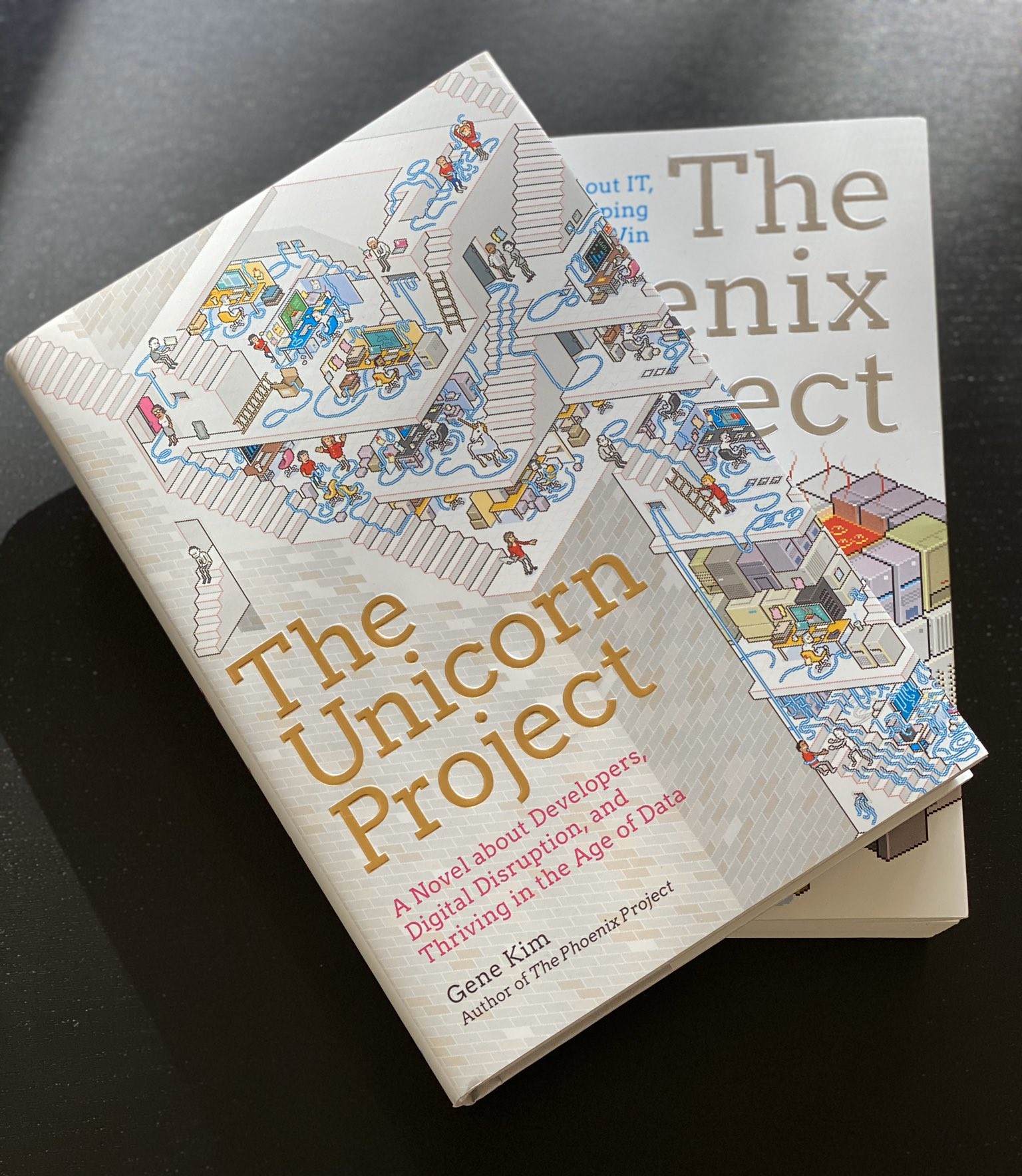 9 unicorn project